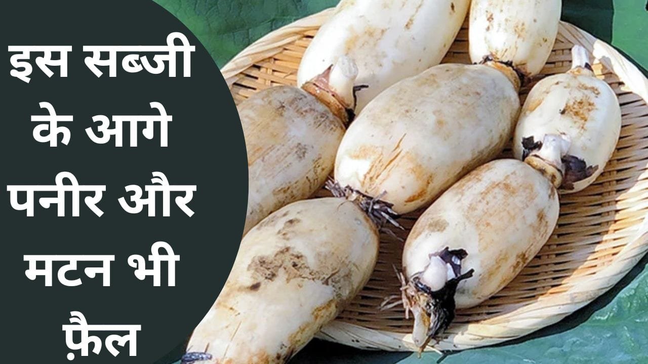 सेहत के लिए संजीवनी है कमल ककड़ी! इस सब्जी के आगे पनीर और मटन भी फ़ैल देखे पूरी जानकारी