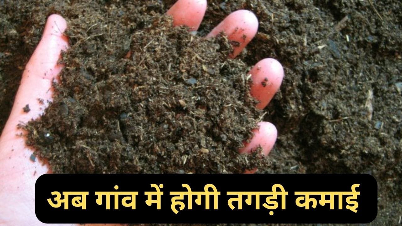 बेरोजगार युवाओं के लिए कुबेर का खजाना है मिट्टी का बिजनेस! आज ही शुरू करे और कमाये मुनाफा सरकार भी दे रही सब्सिड़ी
