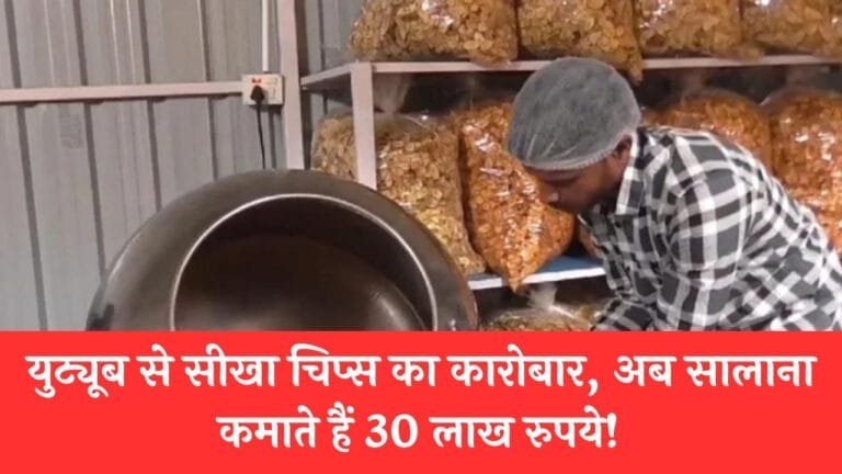 चिप्स का कारोबार