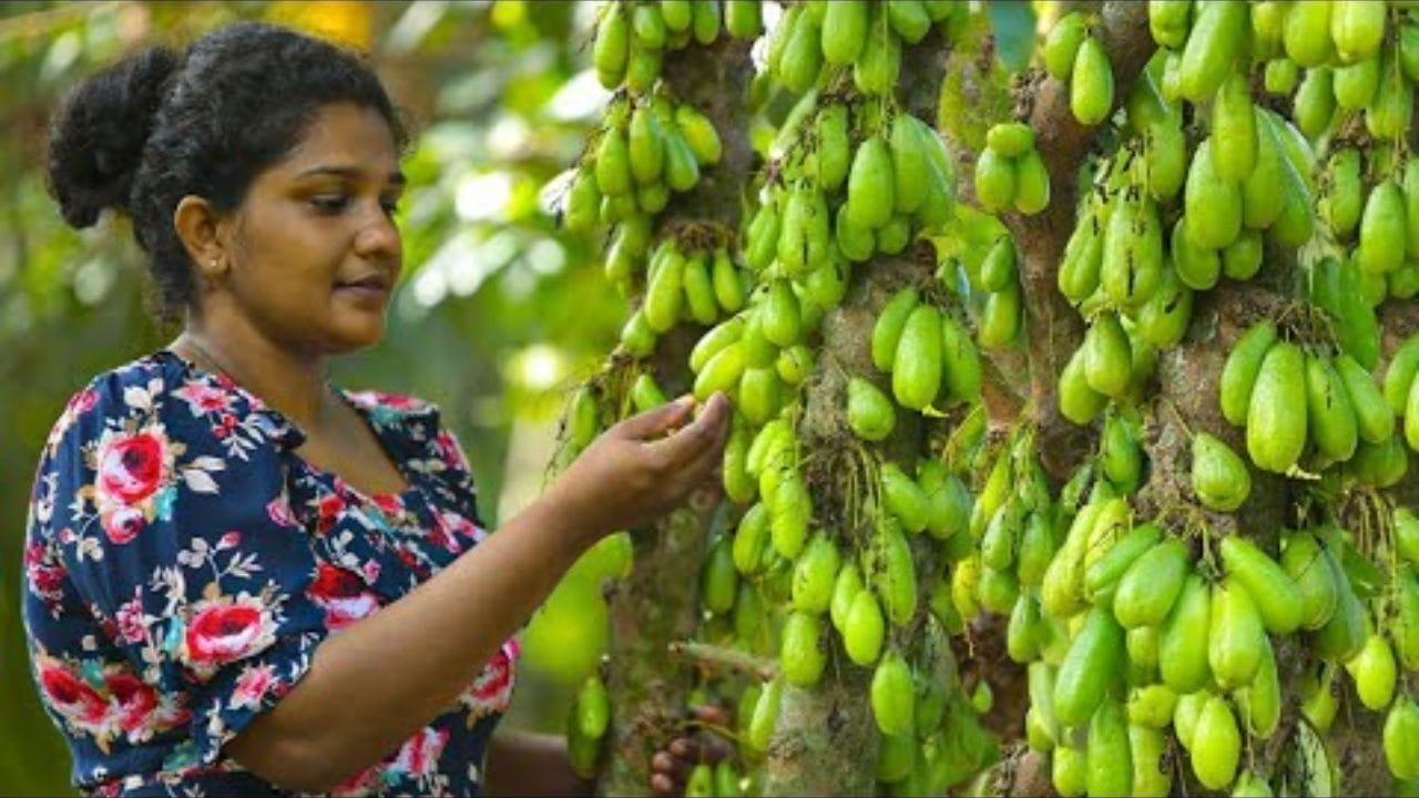 10 साल में एक बार मिलने वाला नयी दुनिया का सबसे पुराना जादुई फल सेवन कर ले रातोरात चौगुना कर देगा मर्दाना ताकत