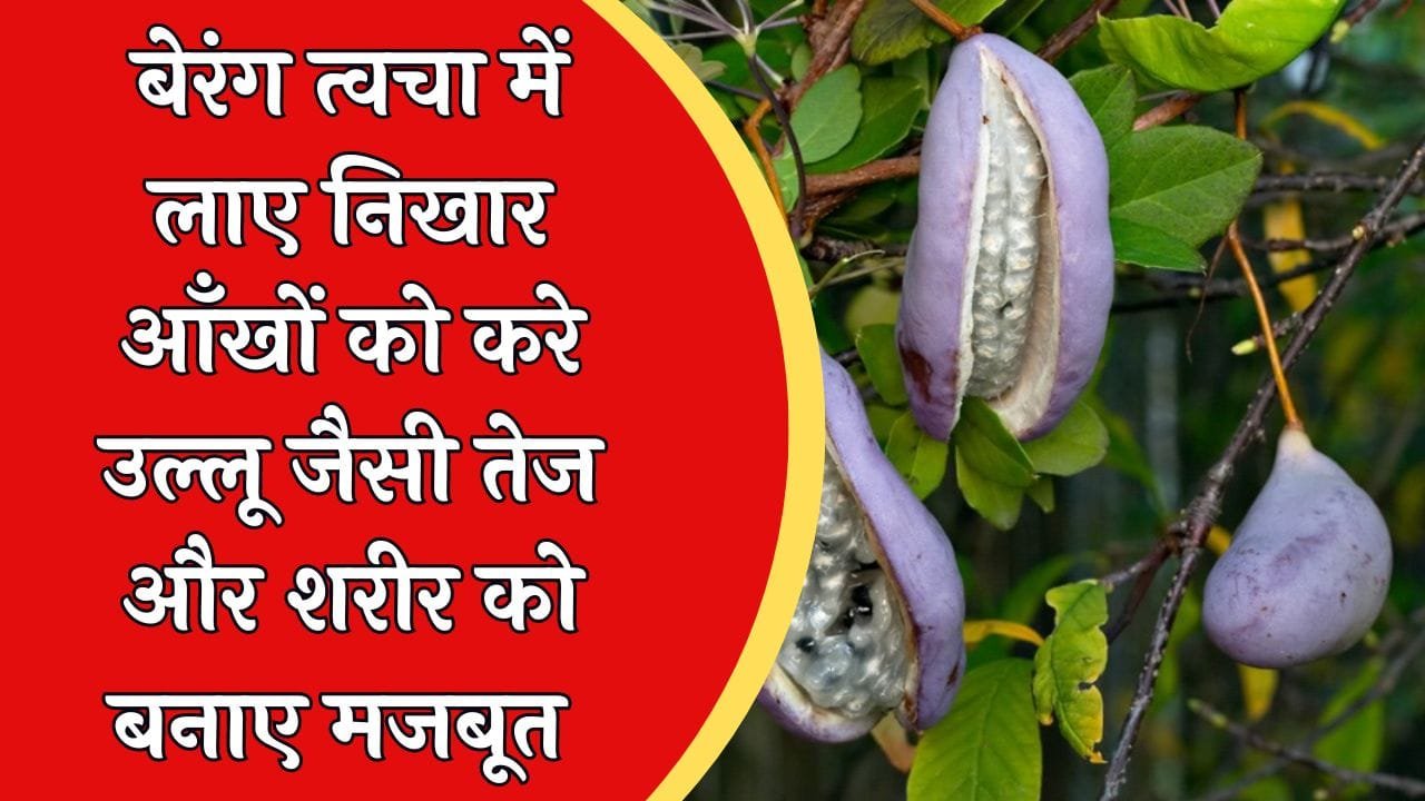 जापान का ये चमत्कारी फल बेरंग त्वचा में लाए निखार आँखों को करे उल्लू जैसी तेज और शरीर को बनाए मजबूत जाने नाम