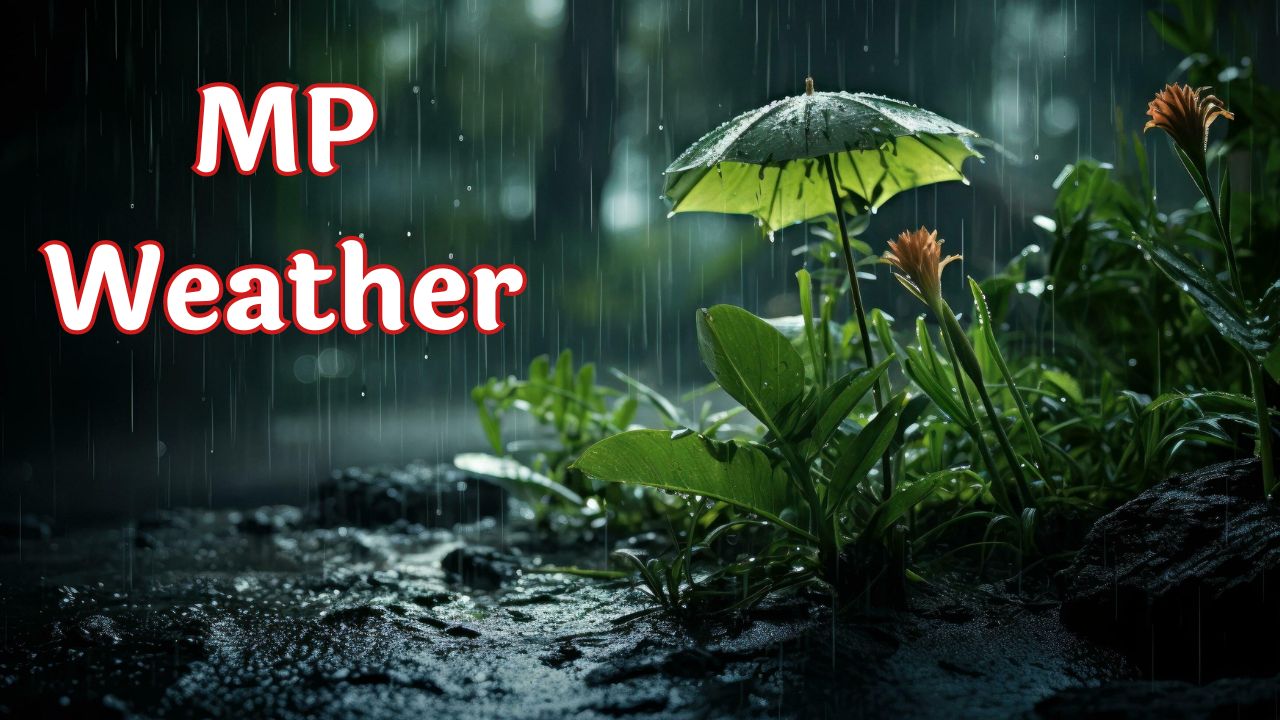 MP Weather Today: मानसून की रफ्तार तेज, मध्य प्रदेश के इन जिलों में हो सकती है भारी बारिश देखे IMD रिपोर्ट