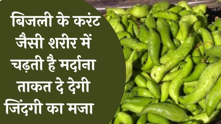 धरती की फायदेमंद मीठी सब्जी बिजली के करंट जैसी शरीर में चढ़ती है मर्दाना ताकत दे देगी जिंदगी का मजा
