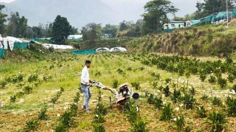 भारत की कोने-कोने में फेमस ये चीज, इसके बिना सब्जी का स्वाद अधूरा करती बीमारियों की हवा टाइट जाने इस स्वादिष्ट चीज का नाम