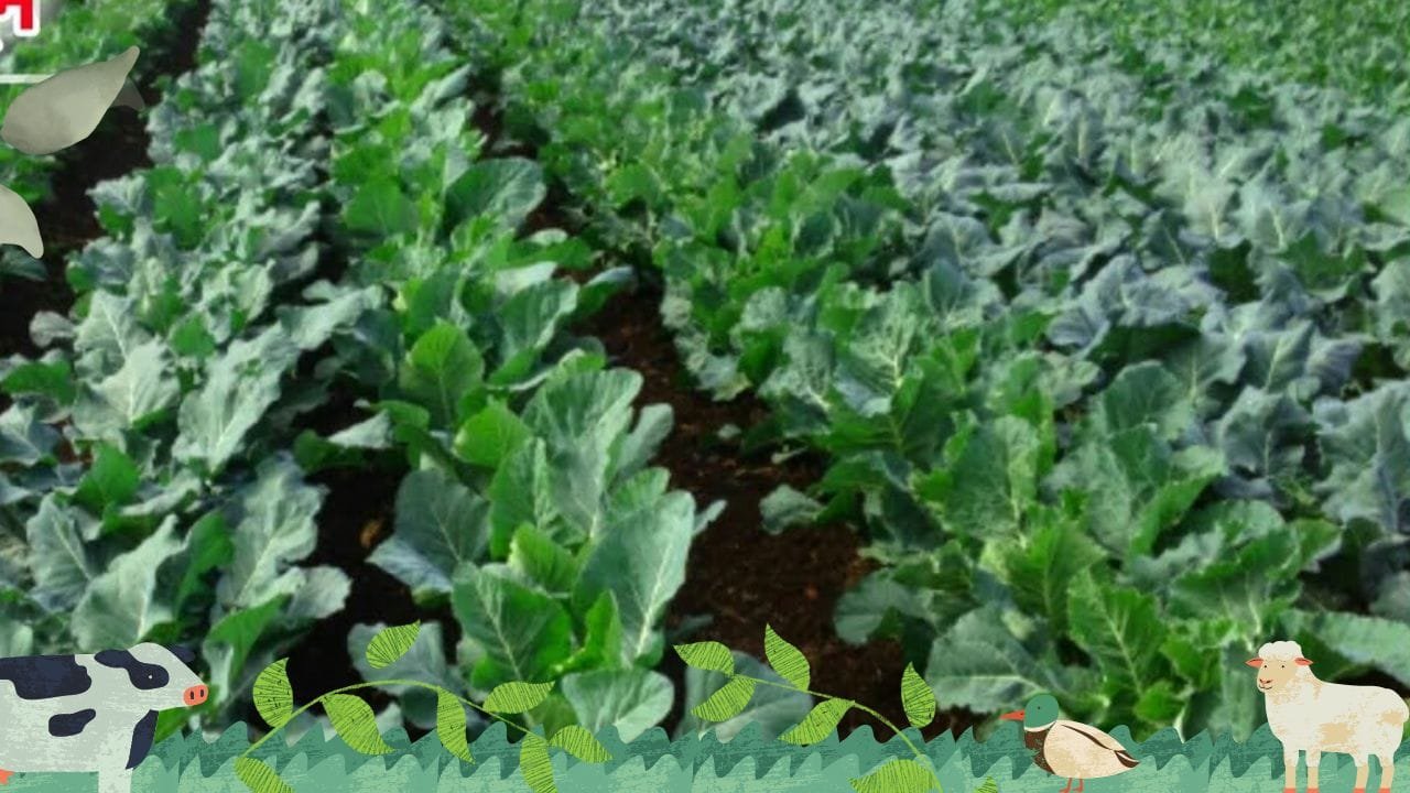 फालतू का दिमाग क्यों चलाना जब महीने भर में 2 लाख कमाने की ये ट्रिक समझ ले ये जबरदस्त कमाई का जरिया