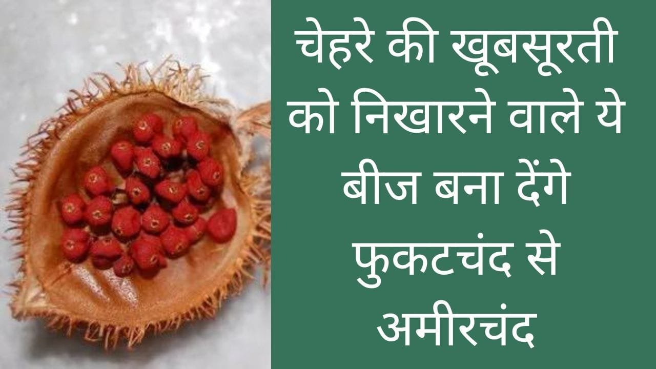 चेहरे की खूबसूरती को निखारने वाले ये बीज बना देंगे फुकटचंद से अमीरचंद सुंदरता के साथ आएगा पैसा ही पैसा