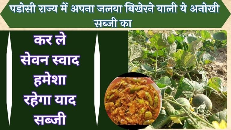पडोसी राज्य में अपना जलवा बिखेरने वाली ये अनोखी सब्जी का कर ले सेवन स्वाद हमेशा रहेगा याद