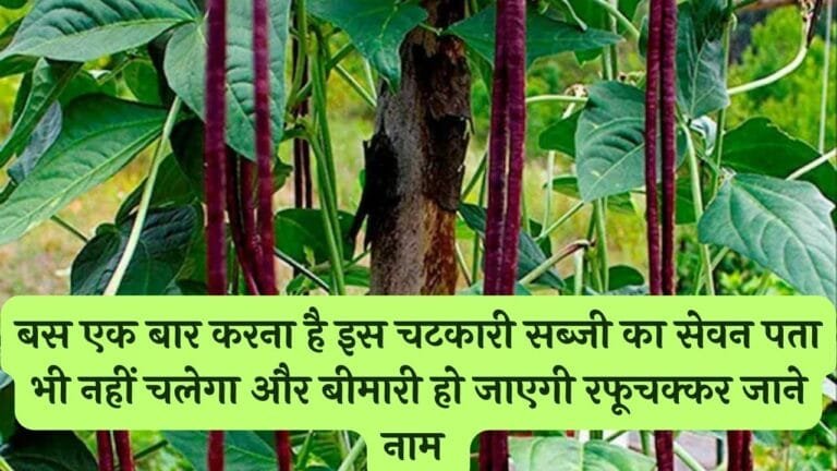 बस एक बार करना है इस चटकारी सब्जी का सेवन पता भी नहीं चलेगा और बीमारी हो जाएगी रफूचक्कर जाने नाम