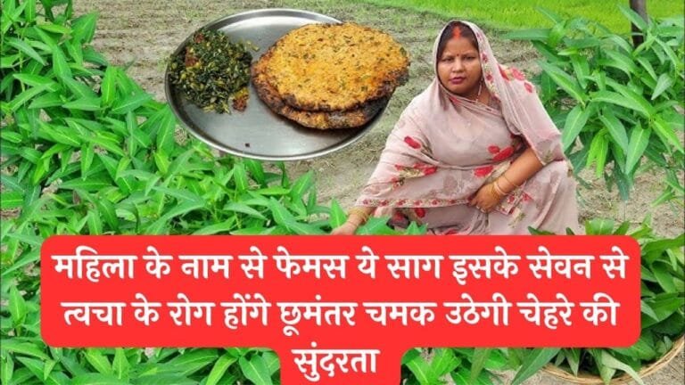 महिला के नाम से फेमस ये साग इसके सेवन से त्वचा के रोग होंगे छूमंतर चमक उठेगी चेहरे की सुंदरता