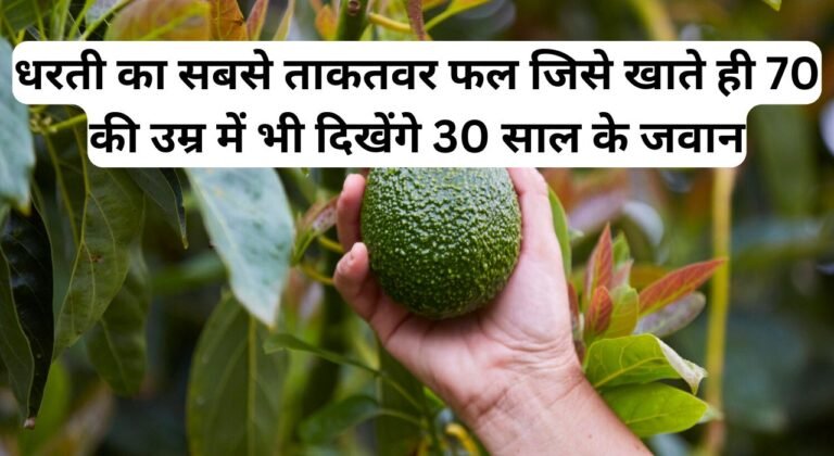 धरती का सबसे ताकतवर फल जिसे खाते ही 70 की उम्र में भी दिखेंगे 30 साल के जवान, पढ़िए इस अनोखे फल का नाम