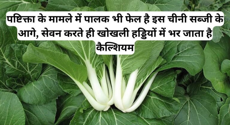 पष्टिक्ता के मामले में पालक भी फेल है इस चीनी सब्जी के आगे, सेवन करते ही खोखली हड्डियों में भर जाता है कैल्शियम, जाने नाम और काम