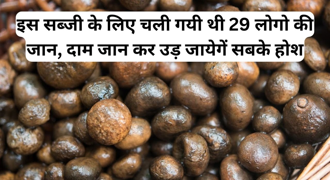 इस सब्जी के लिए चली गयी थी 29 लोगो की जान, दाम जान कर उड़ जायेगें सबके होश, जानिए इस फसल के बारे में