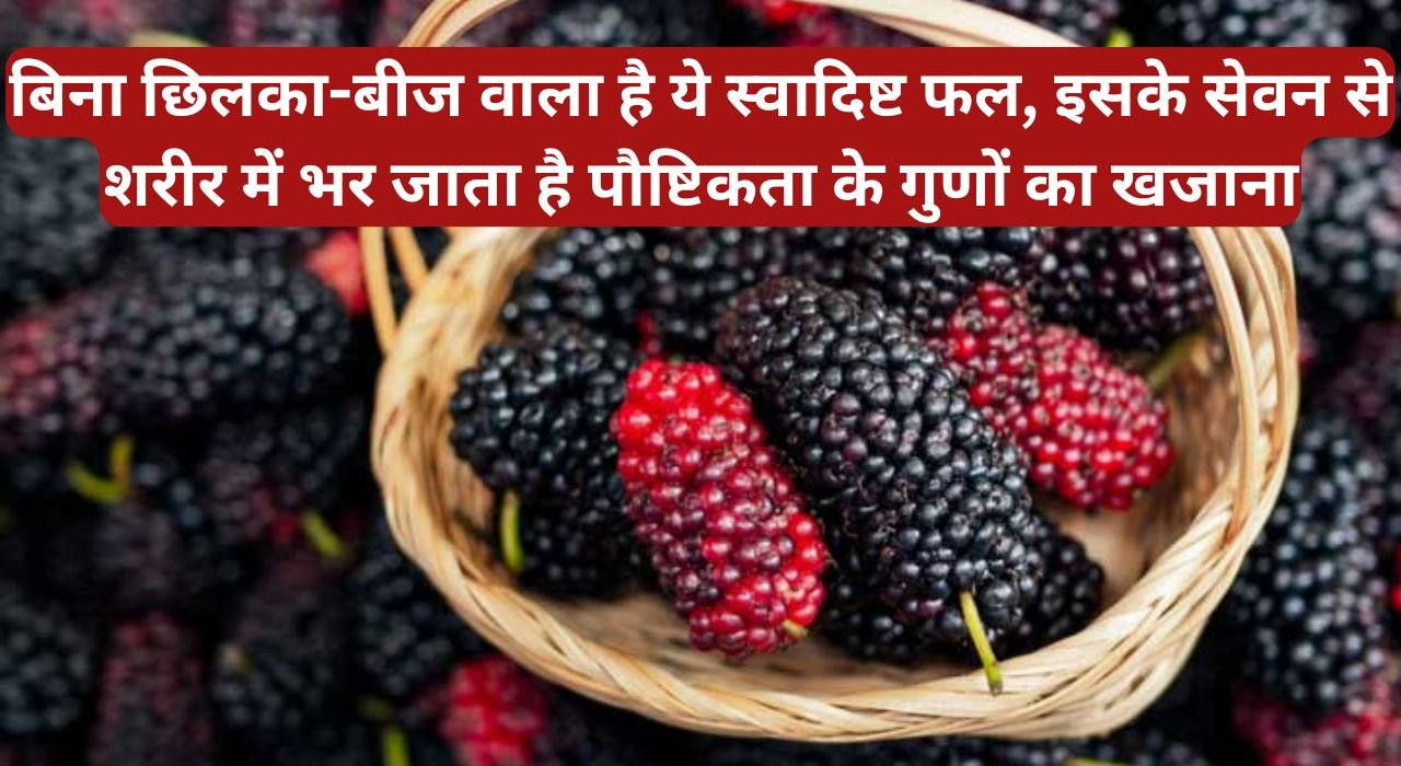 बिना छिलका-बीज वाला है ये स्वादिष्ट फल, इसके सेवन से शरीर में भर जाता है पौष्टिकता के गुणों का खजाना, पढ़िए इस फल के बारे में