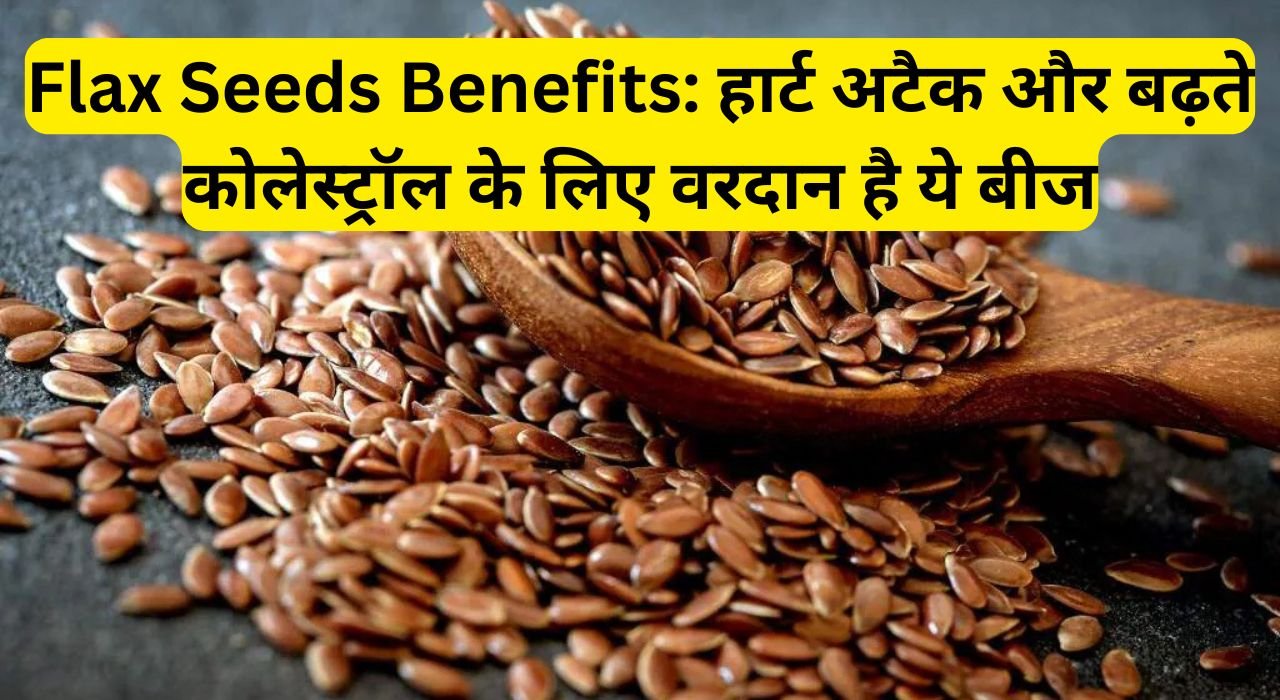 Flax Seeds Benefits: हार्ट अटैक और बढ़ते कोलेस्ट्रॉल के लिए वरदान है ये बीज, पढ़िए इस Flax Seeds के बारे